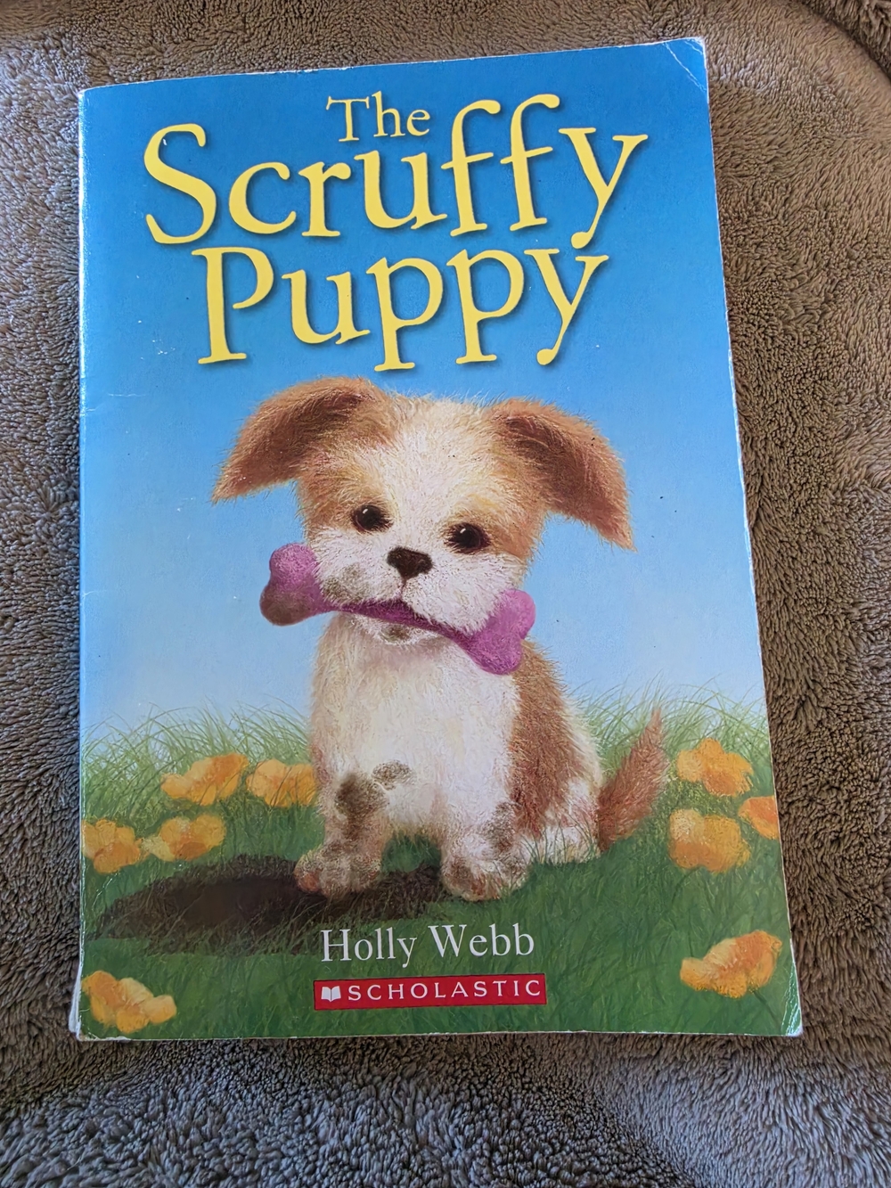 "The Scruffy Puppy" is a children's chapter book written by Holly Webb